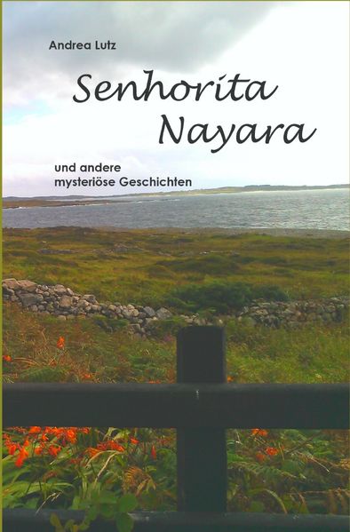 Cover von Senhorita Nayara
