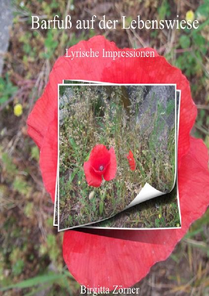 Cover von Barfuß auf der Lebenswiese, Hardcover