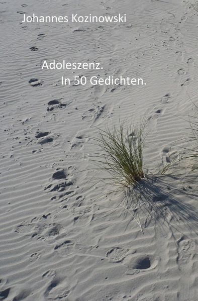 Cover von Adoleszenz. In 50 Gedichten.