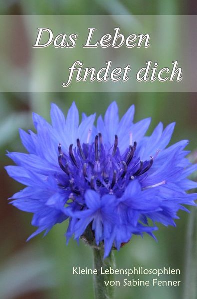 Cover von Das Leben findet dich