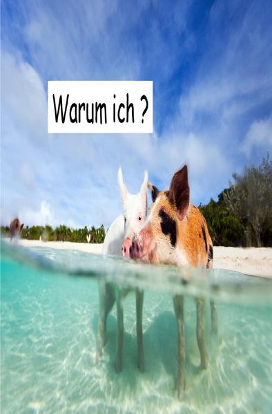 Cover von Warum ich?