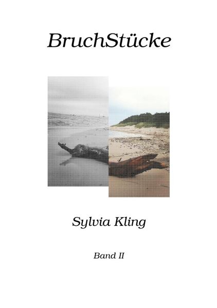 Cover von BruchStücke