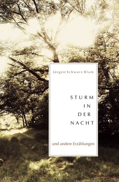 Cover von Sturm in der Nacht