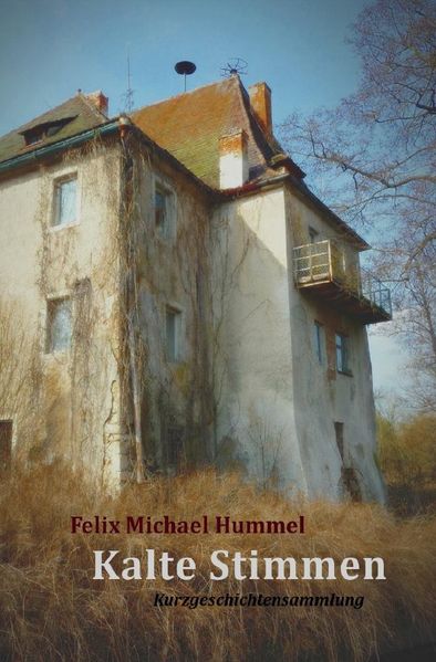 Cover von Kalte Stimmen