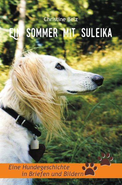 Cover von Ein Sommer mit Suleika
