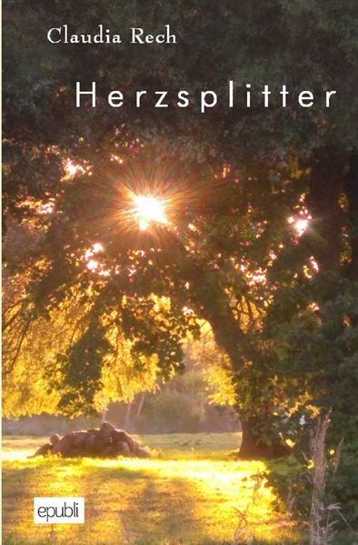 Cover von Herzsplitter