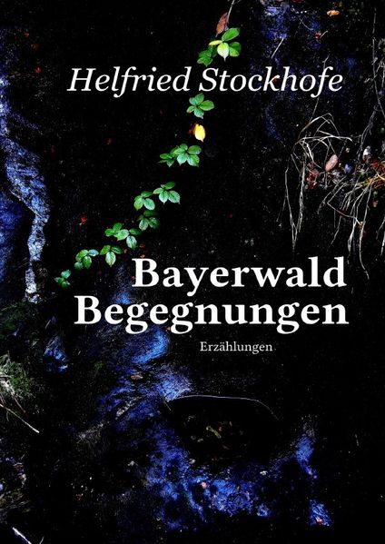 Cover von Bayerwald Begegnungen