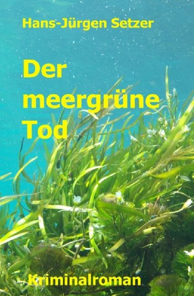 Cover von Leon Walters ermittelt / Der meergrüne Tod