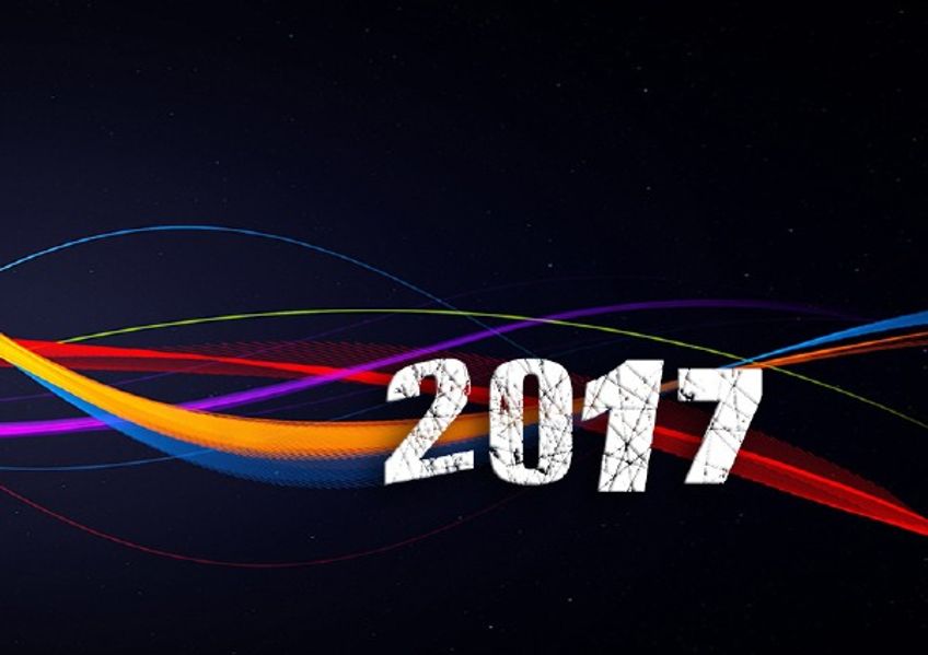 Cover von Terminkalender / Terminkalender 2017