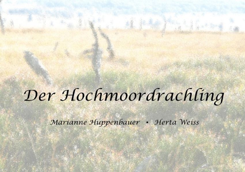 Cover von Phantastische Geschichten ohne Sinn und Zweck / Der Hochmoordrachling
