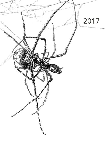 Cover von Anna-Maria Dirrigl | Kalender 2017