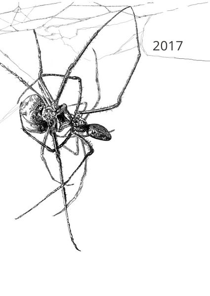 Cover von Anna-Maria Dirrigl | Kalender 2017