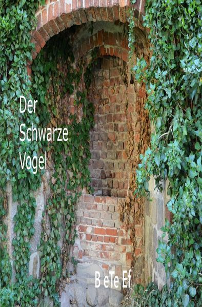 Cover von Romanreihe / Der Schwarze Vogel