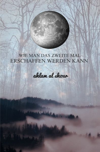 Cover von Wie man das zweite Mal erschaffen werden kann
