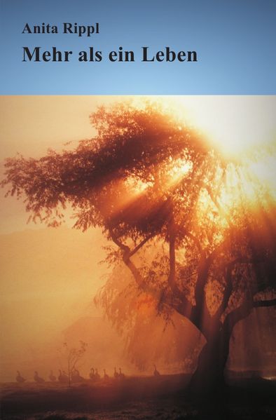 Cover von Mehr als ein Leben