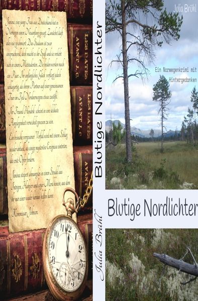 Cover von Blutige Nordlichter