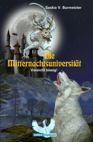 Cover von Die Mitternachtsuniversität