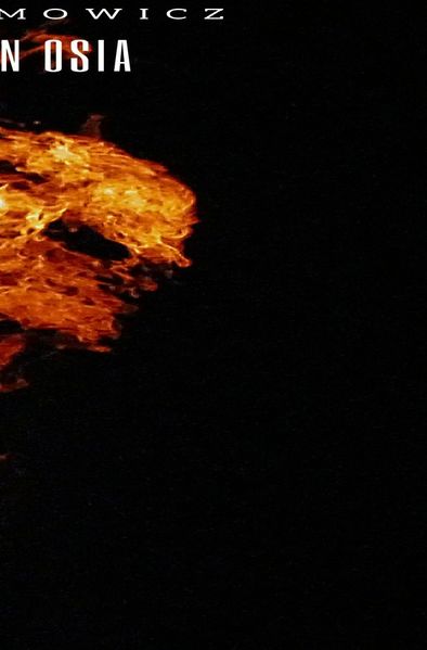 Cover von Die Feuer von Osia