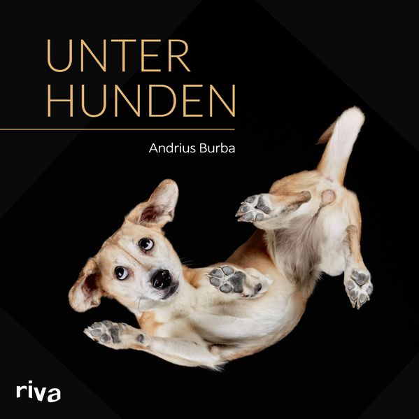 Cover von Unter Hunden