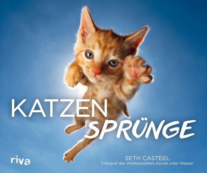 Cover von Katzensprünge