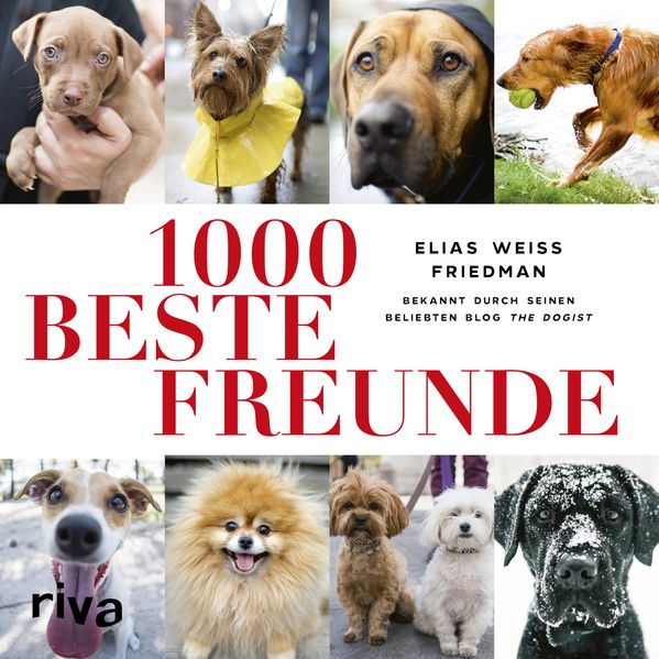 Cover von 1000 beste Freunde