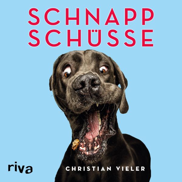 Cover von Schnappschüsse