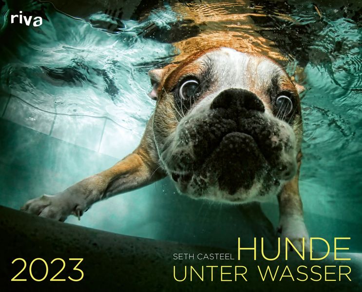 Cover von Hunde unter Wasser 2023