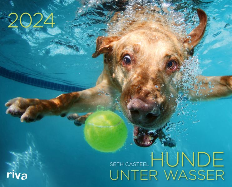 Cover von Hunde unter Wasser 2024