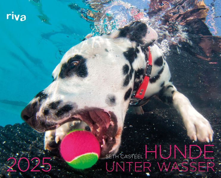 Cover von Hunde unter Wasser 2025