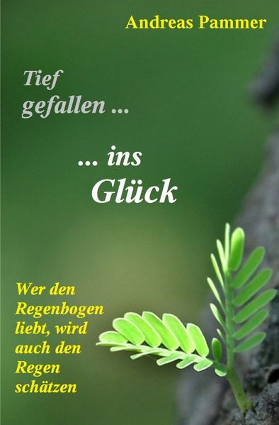 Cover von Tief gefallen… …ins Glück