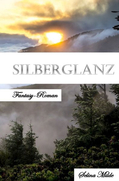 Cover von Silberglanz