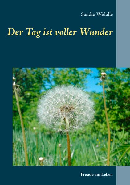 Cover von Der Tag ist voller Wunder
