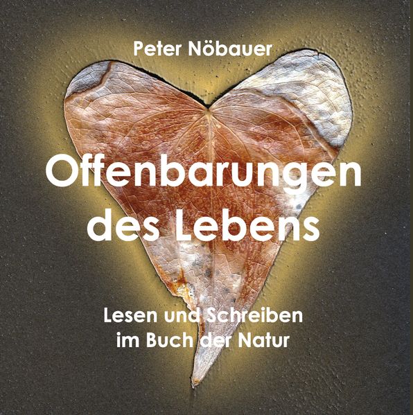 Cover von Offenbarungen des Lebens