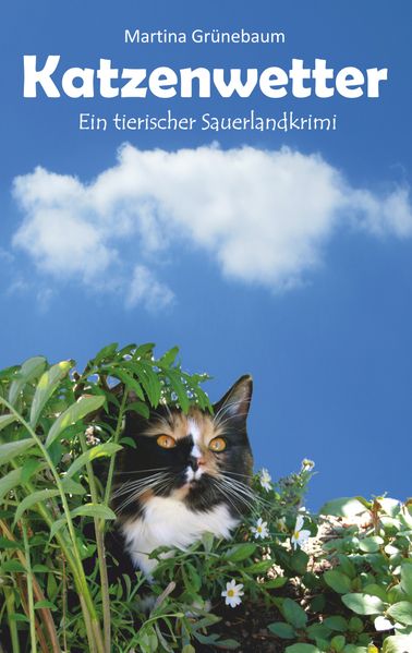 Cover von Katzenwetter