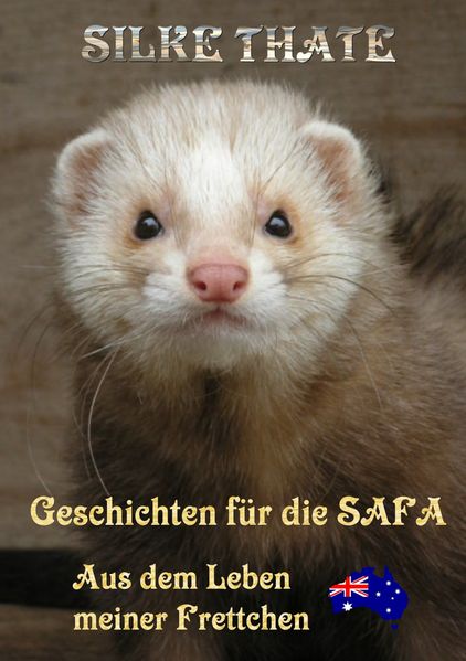 Cover von Geschichten für die Safa