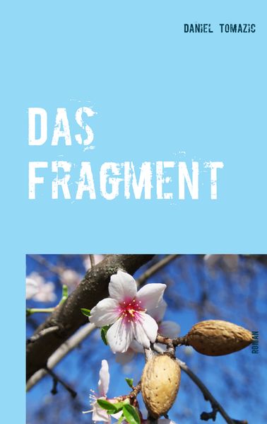 Cover von Das Fragment