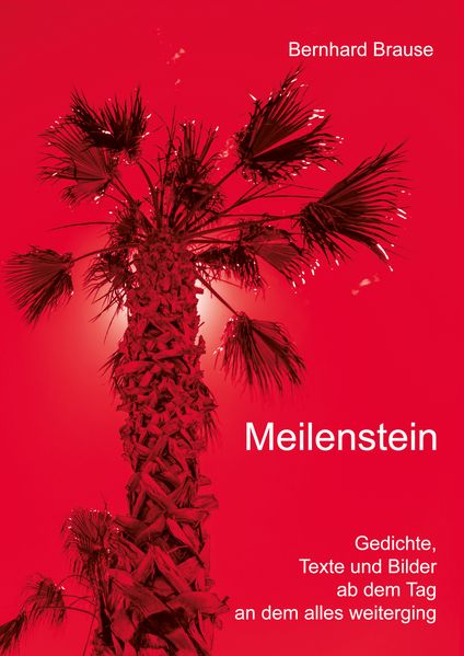 Cover von Meilenstein