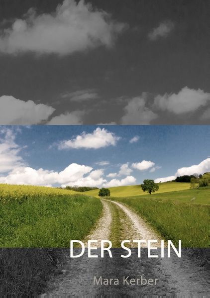 Cover von Der Stein