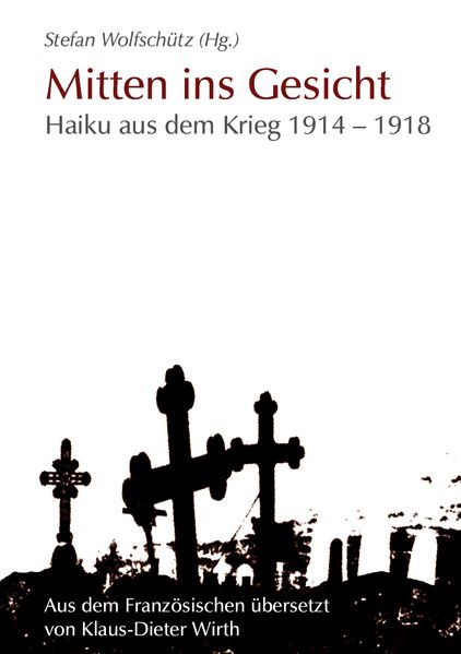 Cover von Mitten ins Gesicht