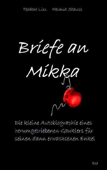 Cover von Briefe an Mikka