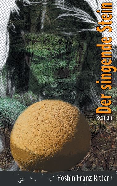 Cover von Der singende Stein