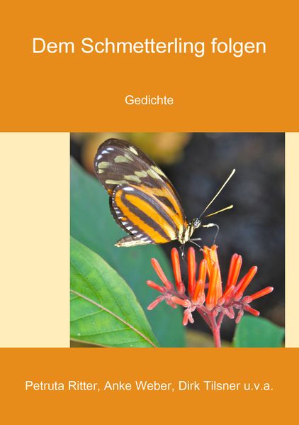 Cover von Dem Schmetterling folgen