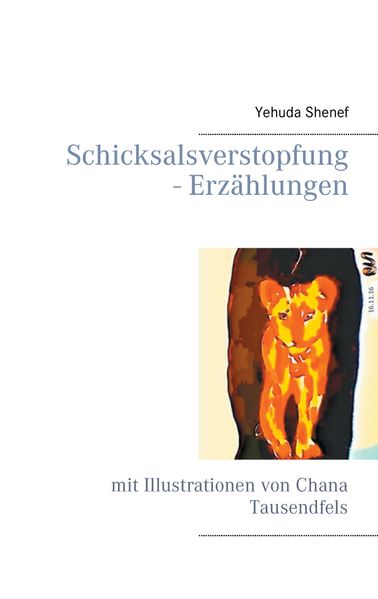 Cover von Schicksalsverstopfung – Erzählungen