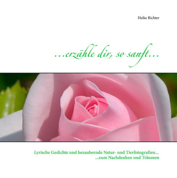 Cover von … erzähle dir, so sanft …