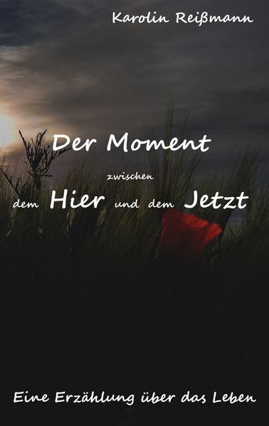 Cover von Der Moment zwischen dem Hier und dem Jetzt