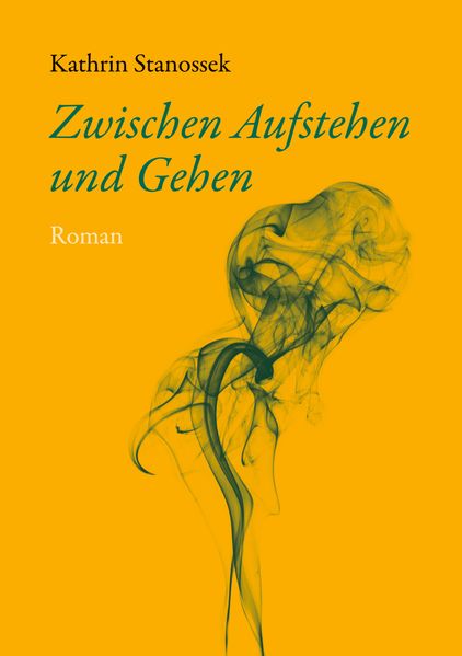 Cover von Zwischen Aufstehen und Gehen