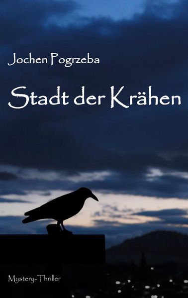 Cover von Stadt der Krähen