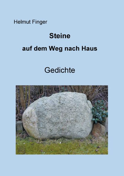 Cover von Steine auf dem Weg nach Haus