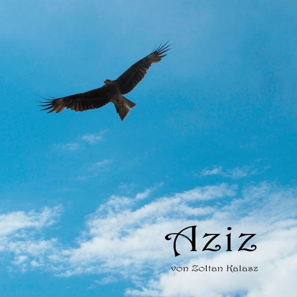 Cover von Aziz