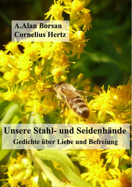 Cover von Unsere Stahl- und Seidenhände